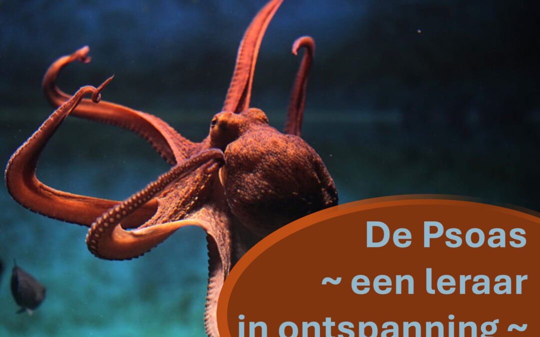 De Psoas; een leraar in ontspanning